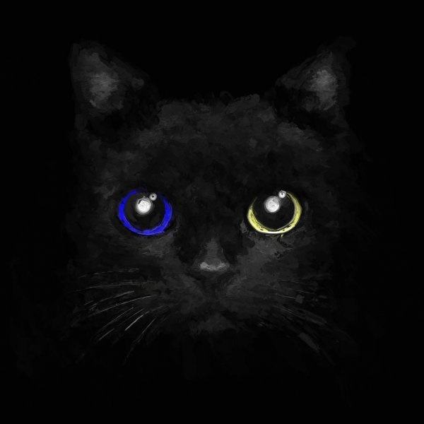 Классные картинки на аву черная кошка (4)