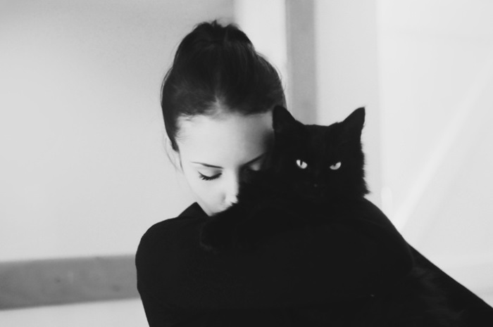 Классные картинки на аву черная кошка (5)
