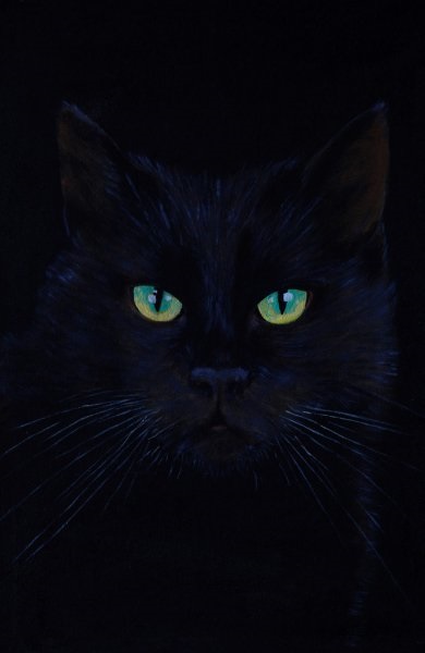 Классные картинки на аву черная кошка (6)