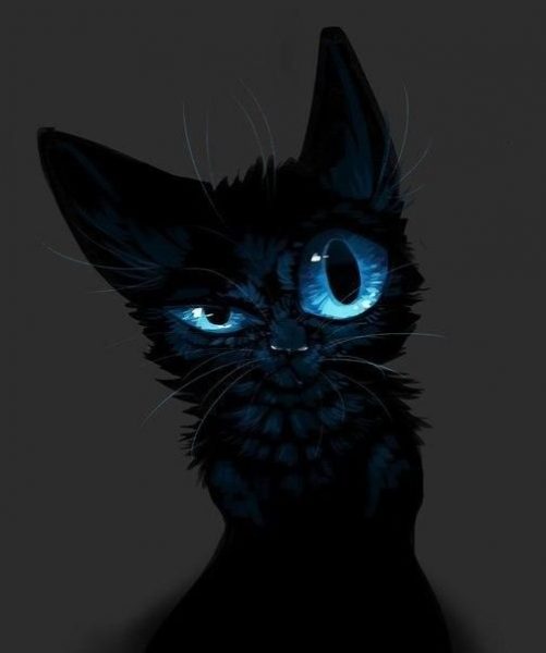 Классные картинки на аву черная кошка