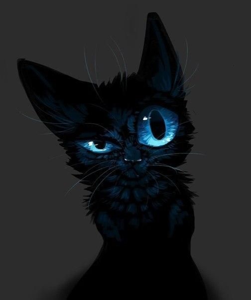 Классные картинки на аву черная кошка (9)