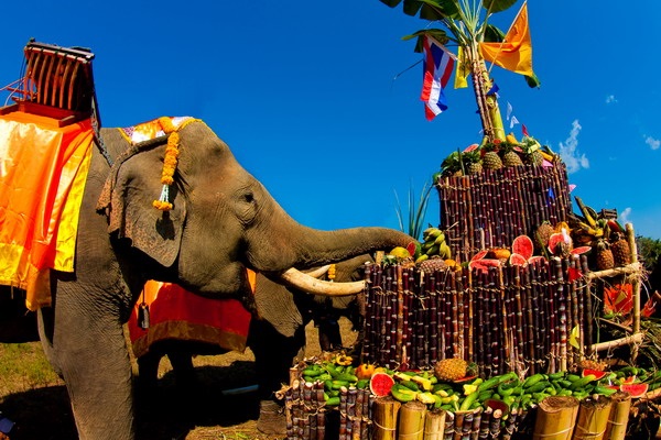 Всемирный день слона 12 августа, праздник   картинки (15)