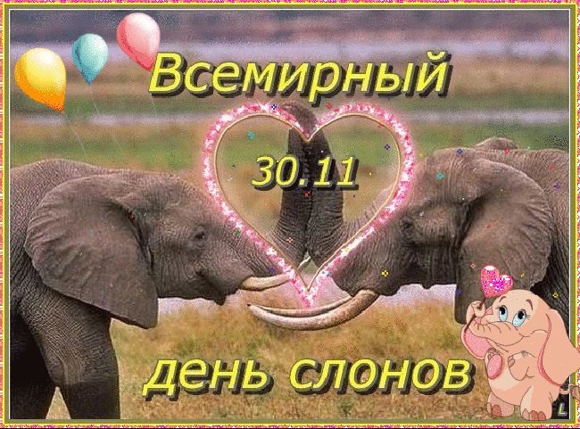 Всемирный день слона 12 августа, праздник   картинки (6)