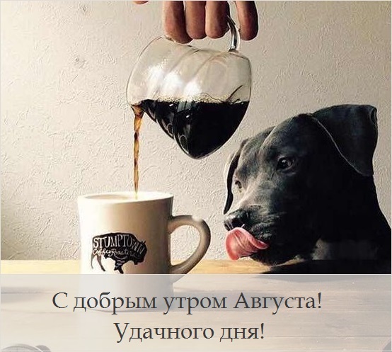 Доброе утро августа картинки с кофе и чаем - подборка (1)