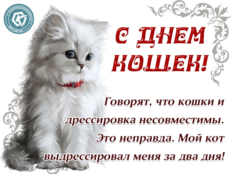 Картинки и открытки с днем кошек на 8 августа (11)