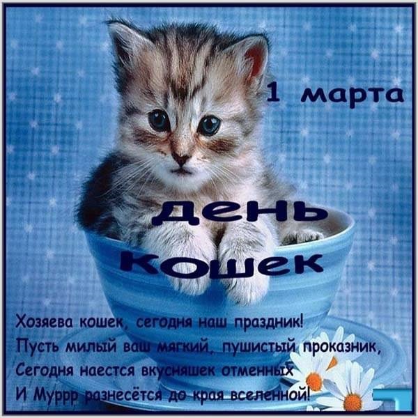 Картинки и открытки с днем кошек на 8 августа (16)