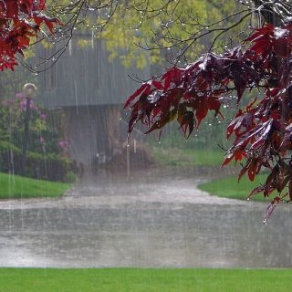 Красивые картинки дождь в сентябре   новая сборка 2021 год (12)