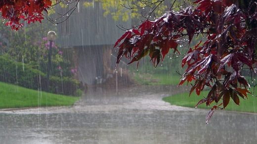 Красивые картинки дождь в сентябре   новая сборка 2021 год (12)