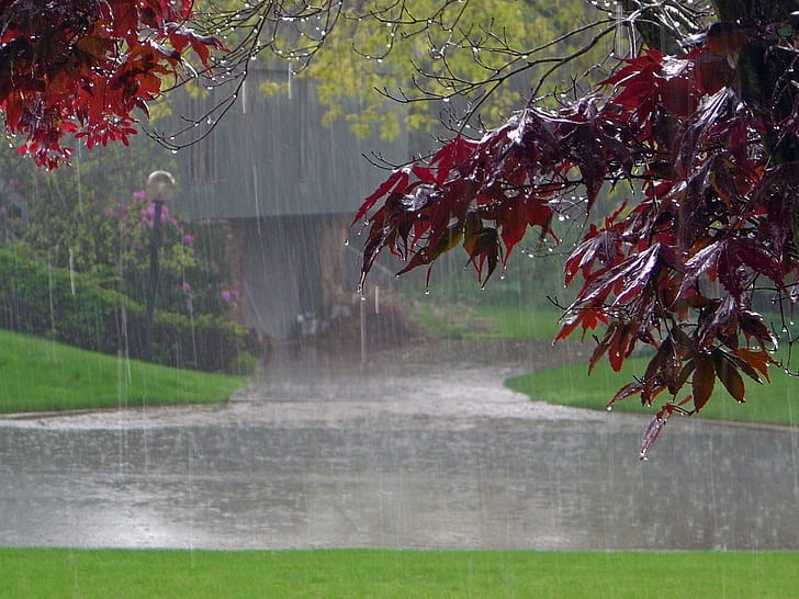 Красивые картинки дождь в сентябре - новая сборка 2021 год (12)
