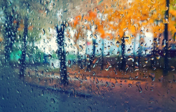Красивые картинки дождь в сентябре   новая сборка 2021 год (15)