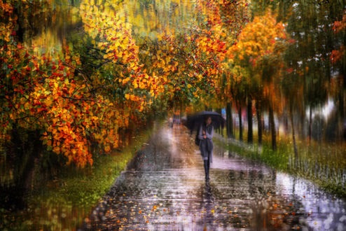 Красивые картинки дождь в сентябре - новая сборка 2021 год (26)