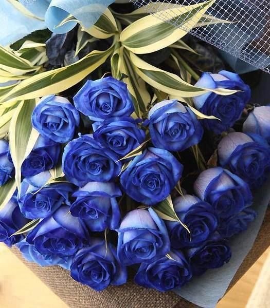 С Днем Рождения синие розы - подборка открыток (17)