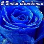 С Днем Рождения синие розы — подборка открыток