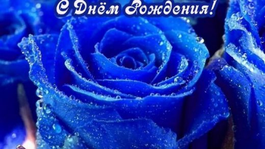 С Днем Рождения синие розы   подборка открыток (21)