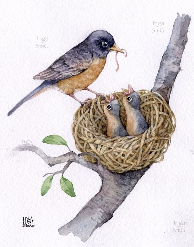 Гнездо на дереве - красивые рисунки для детей (15)