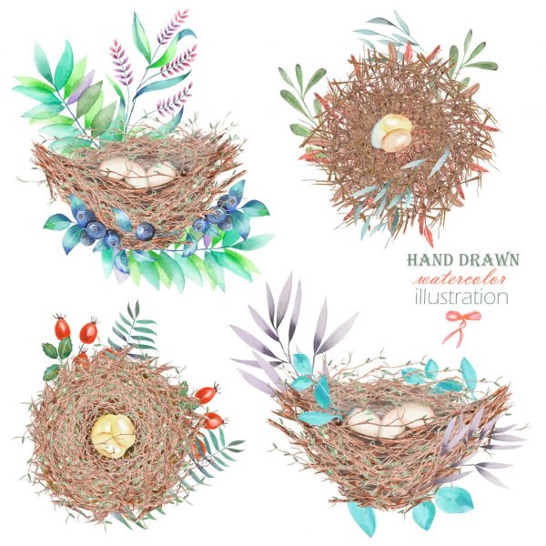 Гнездо на дереве   красивые рисунки для детей (16)