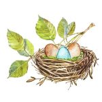 Гнездо на дереве — красивые рисунки для детей