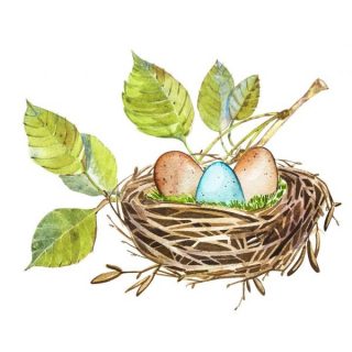 Гнездо на дереве   красивые рисунки для детей (22)