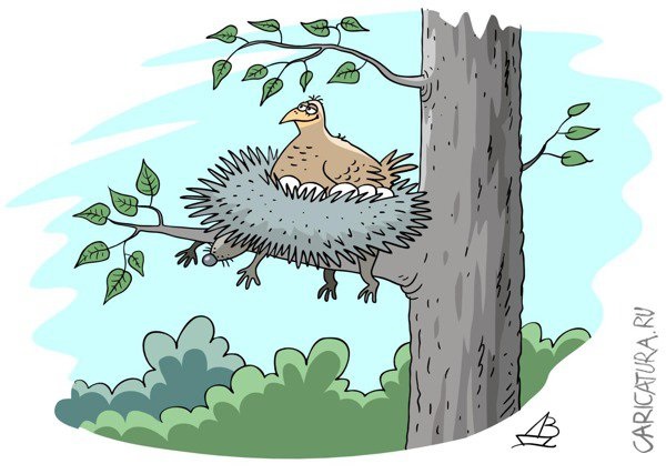 Гнездо на дереве   красивые рисунки для детей (26)