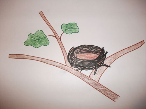 Гнездо на дереве - красивые рисунки для детей (8)