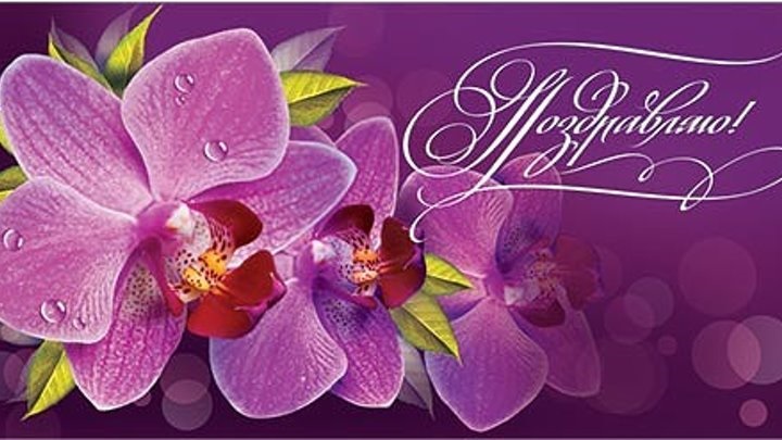 Орхидеи с днем рождения фото и открытки (10)