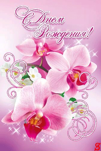 Орхидеи с днем рождения фото и открытки (15)
