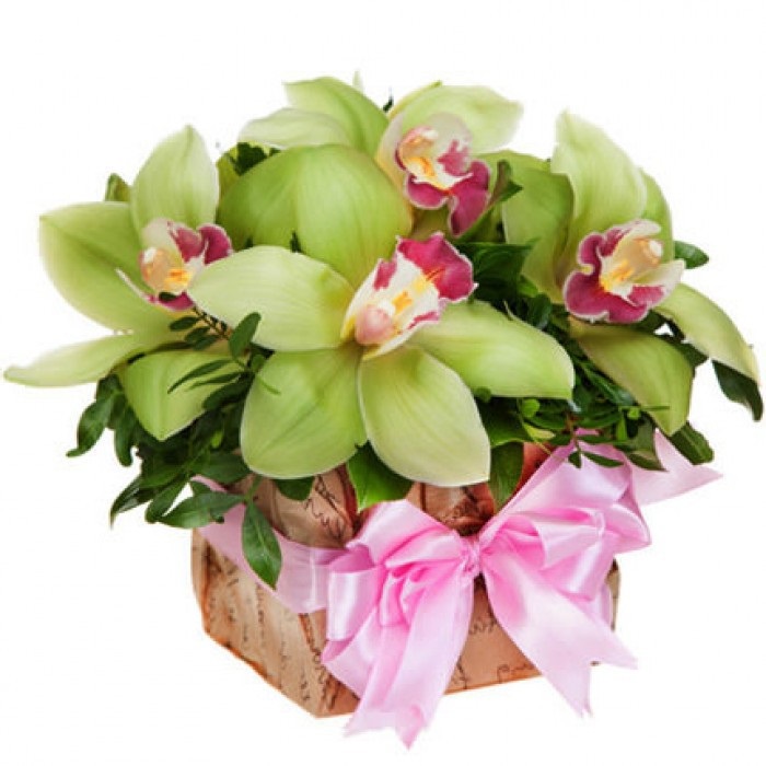 Орхидеи с днем рождения фото и открытки (9)
