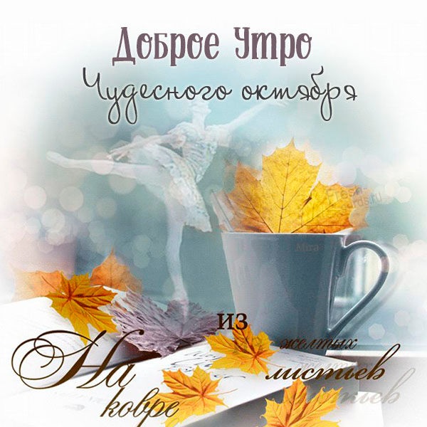 Доброе утро октября осенью - самые милые открытки (3)