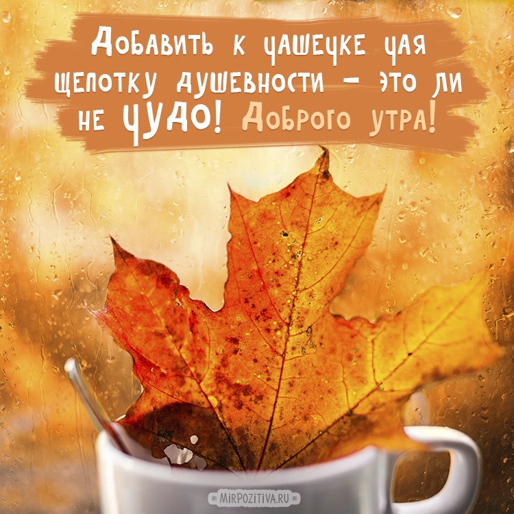 Доброе утро октября осенью - самые милые открытки (7)