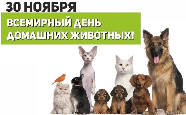 Всемирный день домашних животных 30 ноября   картинки на праздник (13)