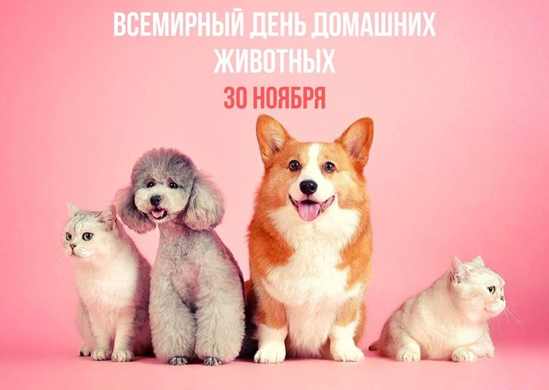 Всемирный день домашних животных 30 ноября - картинки на праздник (14)