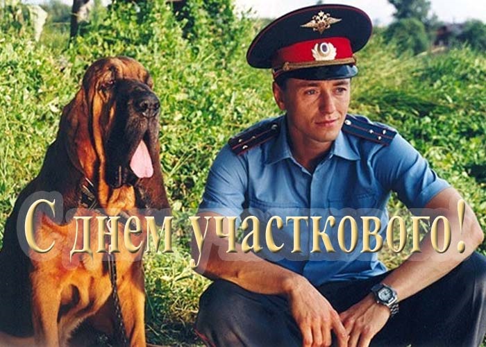 Картинки на 17 ноября День участкового в России (1)