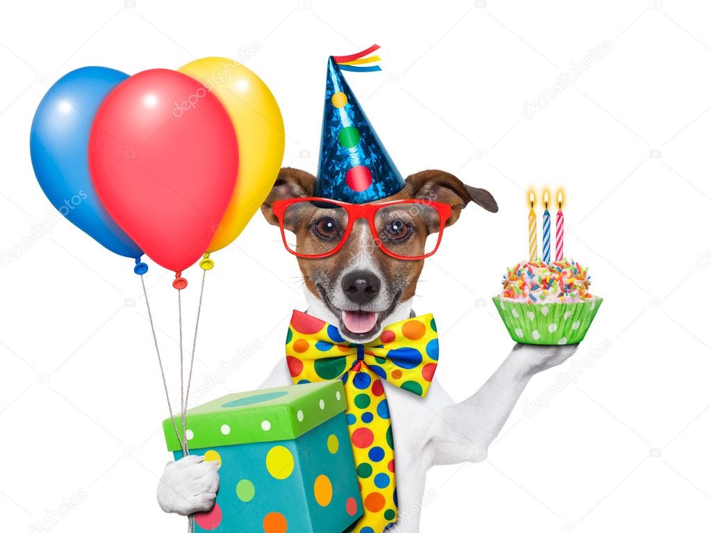 Открытка с днем ​​рождения   собачка, цветы и шарики (15)