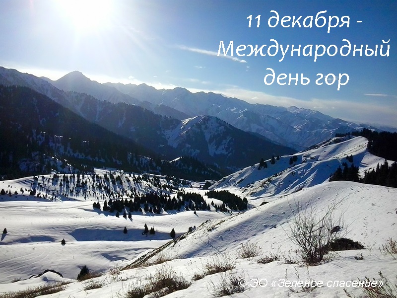 11 декабря картинки на праздник Международный день гор (11)