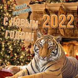 Картинки на Новый год тигра 2022 для семьи и родных   подборка (12)