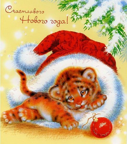 Картинки на Новый год тигра 2022 для семьи и родных - подборка (13)