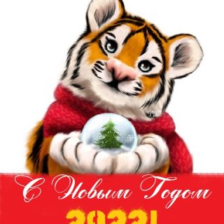 Картинки на Новый год тигра 2022 для семьи и родных   подборка (20)