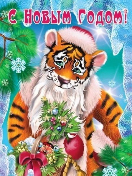 Картинки на Новый год тигра 2022 для семьи и родных   подборка (4)