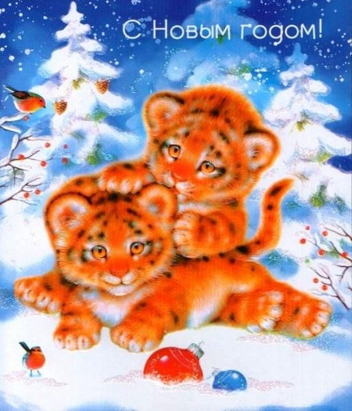 Картинки на Новый год тигра 2022 для семьи и родных - подборка (6)