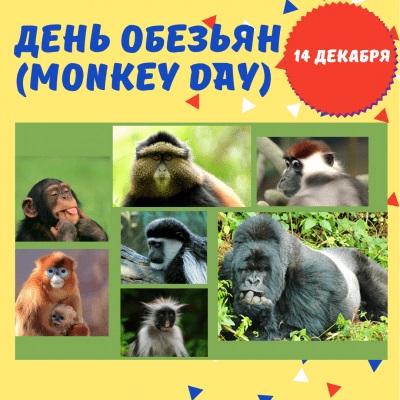 Картинки на праздник 14 декабря День обезьян - подборка (9)
