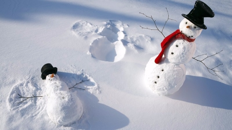 Всемирный день снега 16 января картинки и открытки (24)