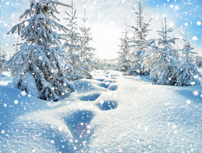 Всемирный день снега 16 января картинки и открытки (5)