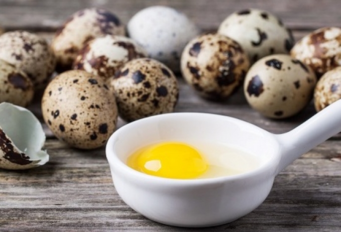 Польза перепелиных яиц для здоровья человека