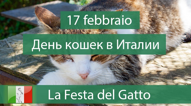 Картинки на 17 февраля Европейский день кота - подборка (4)