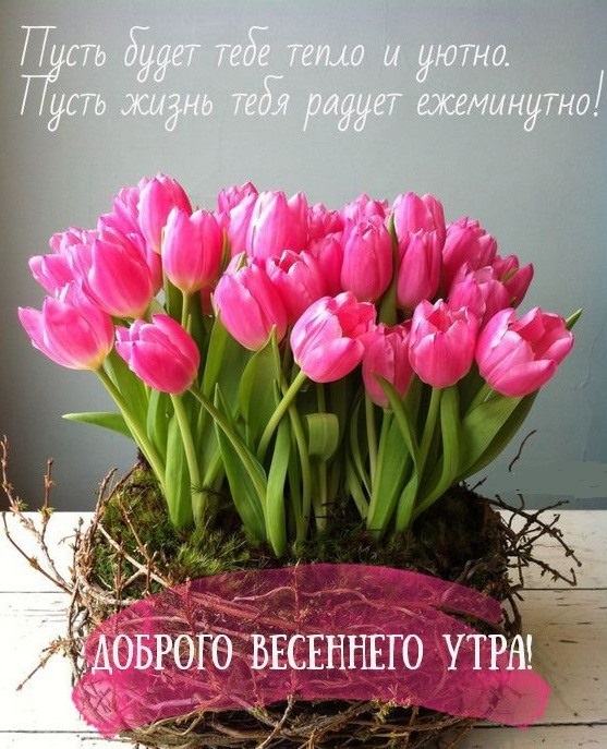 Счастливого цветочного утра весны   открытки на 2022 год (13)