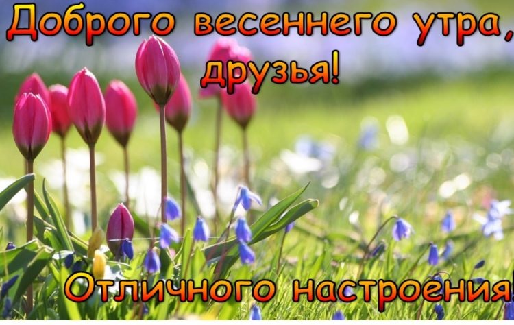 Счастливого цветочного утра весны - открытки на 2022 год (20)