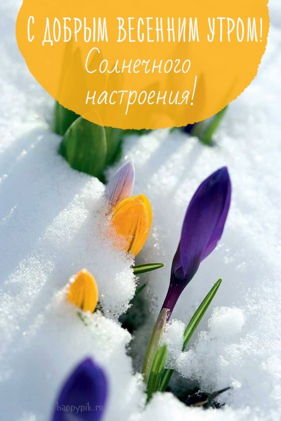 Счастливого цветочного утра весны - открытки на 2022 год (26)