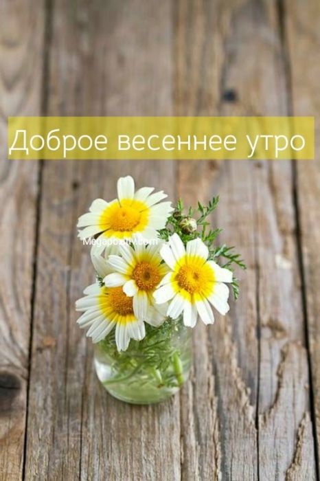 Счастливого цветочного утра весны - открытки на 2022 год (5)
