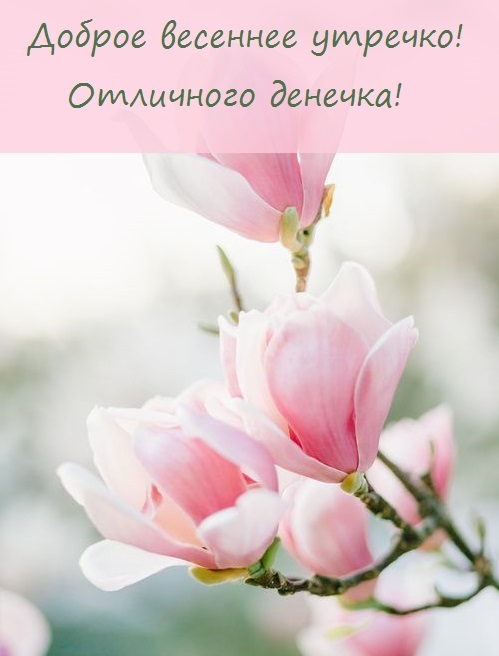 Счастливого цветочного утра весны - открытки на 2022 год (8)