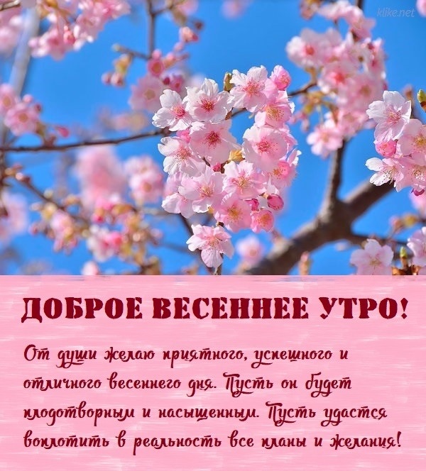 Доброе утро весенние картинки апрельские